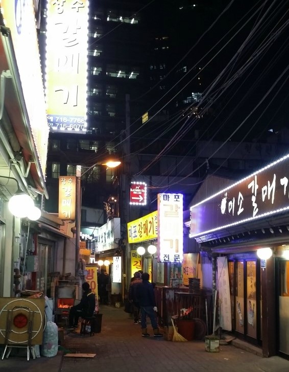  마포갈매기와 서초동연가