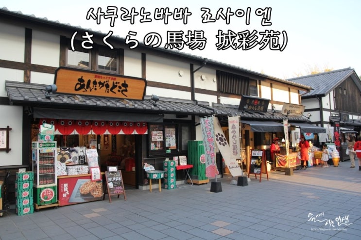  [일본 남큐슈 자유여행] 10. 구마모토 사쿠라노바바 죠사이엔(桜の馬場 城彩苑) 1편