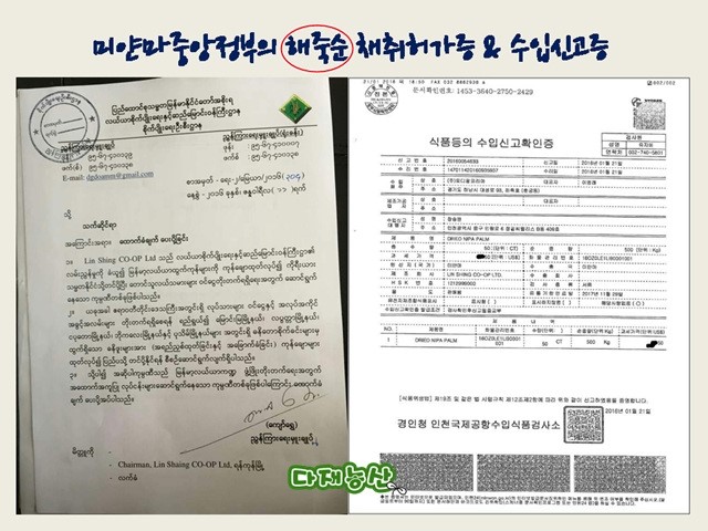  해죽순의나라,미얀마