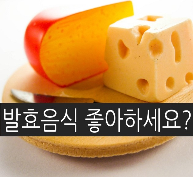 음식물 부패와 발효 차이점은??