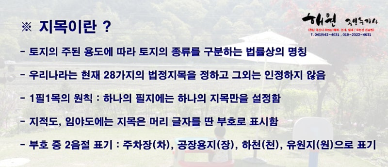 임야 뜻과 종류 그 외 지목 알아보기