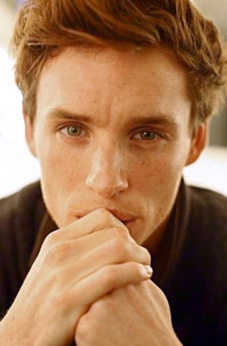 할리우드의 사기캐릭터, 대니쉬 걸 '에디 레드메인'의 모든것♥