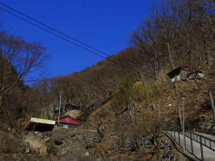 청도오지와 청송 주산지 : 네이버 블로그