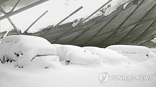 폭설에 제 값한 풍수해보험…"복구비 실비 보상"