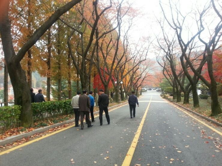 가을날 산책