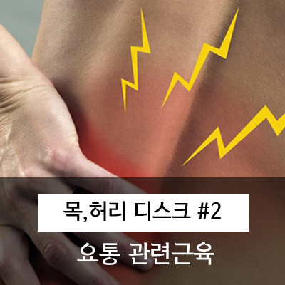  요통 및 허리디스크 관련근육.