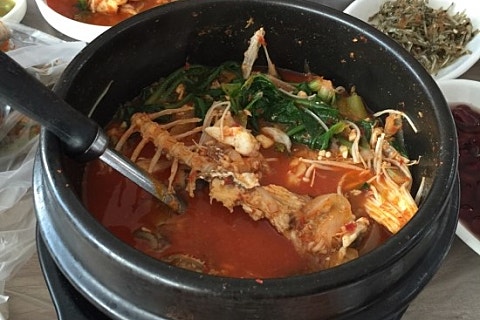 돌산아나고 이미지