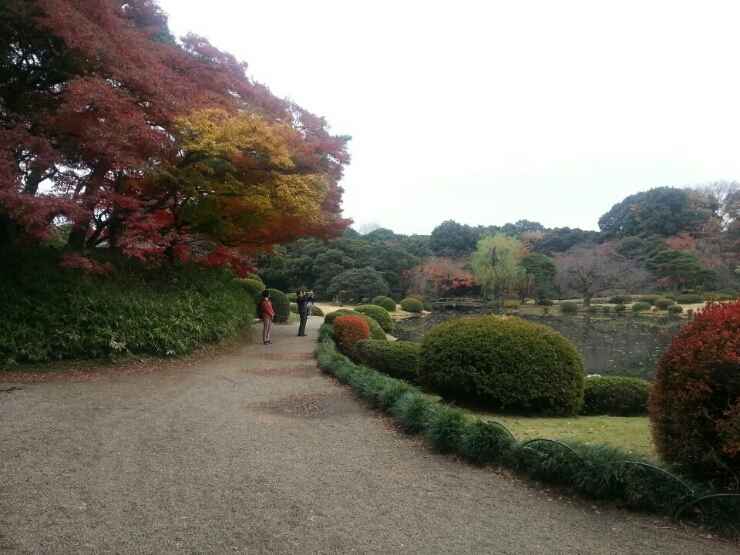 도쿄 정원