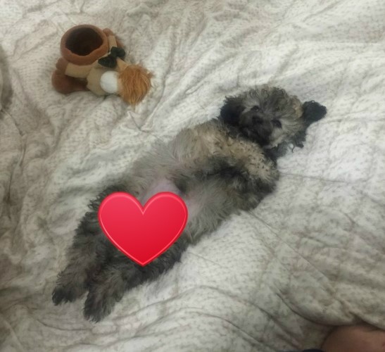  20160209 외가집다녀온날