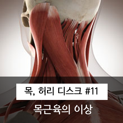  목근육의 이상이 경추를 틀어지게 한다.