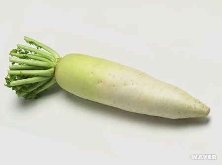 무 이미지