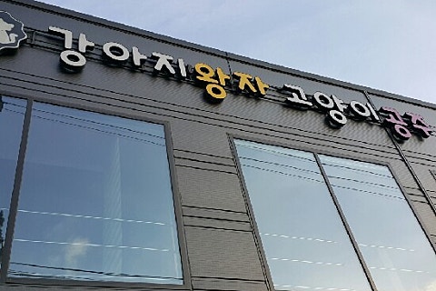 돼지왕자김치공주 이미지