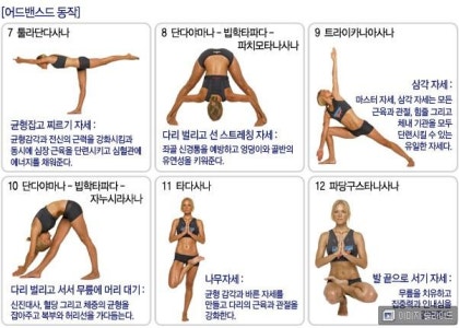 핫요가 몸매 변신
