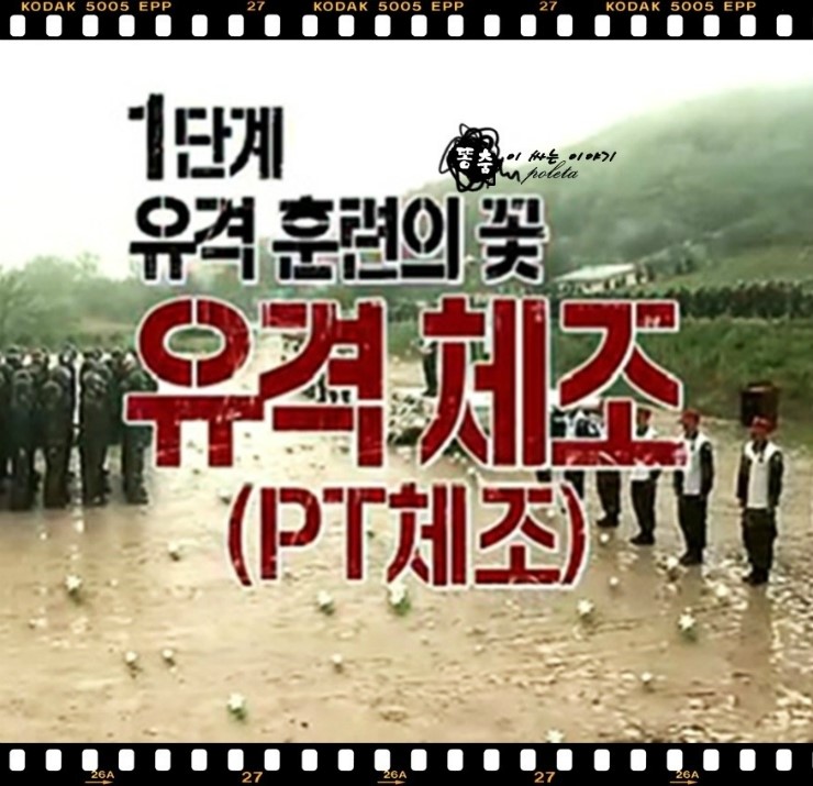  유격체조(PT체조,피티체조)의 순서,방법 배우기로 전신근력+유산소운동