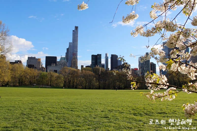 뉴욕 벚꽃 여행] 뉴욕의 4월 ♪ 뉴욕 벚꽃 시기 : 네이버 블로그