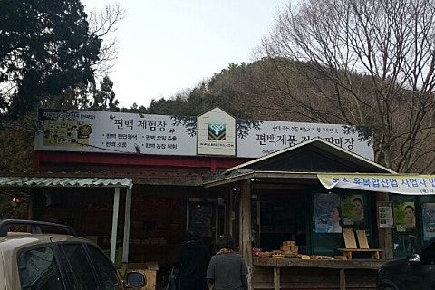 장성편백체험장 이미지