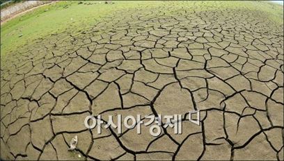 농작물재해보험, 올해부터 재해없으면 환급…벼부터 시범적용 농작물재해보험, 올해부터 재해없으면 환급…벼부터 시범적용
