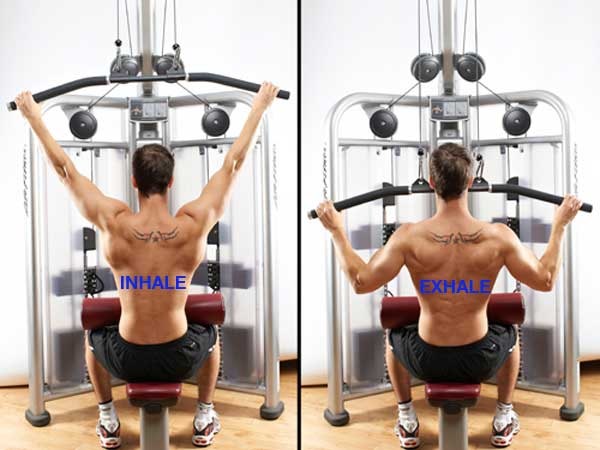 초보자도 쉽게 하는 등운동 랫 풀다운( Lat Pulldown) : 네이버 블로그