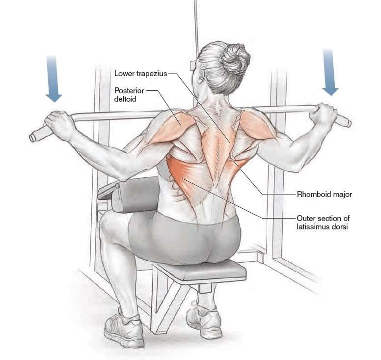 초보자도 쉽게 하는 등운동 랫 풀다운( Lat Pulldown) : 네이버 블로그