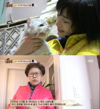 선우선고양이 탯줄 동물농장 고양이를