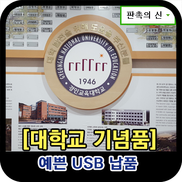  대학교 기념품 USB 제작