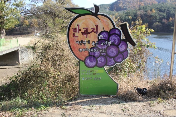 발품팔아 다녀온 경산 반곡지 사진찍기 좋은 녹색 명소 발품팔아 다녀온 경산 반곡지 사진찍기 좋은 녹색 명소