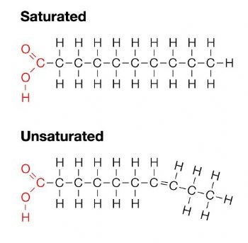 Is unsaturated fatty acid unconditionally good? Omega 6 : Omega 3