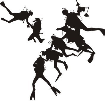 스킨스쿠버 이미지 스킨다이빙 스쿠버다이빙 스노클링 체험 스킨스쿠버 이미지 스킨다이빙 스쿠버다이빙 스노클링 체험