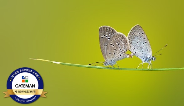  [수내동번호키] 합리적인 가격에 게이트맨 리뷰 했어요