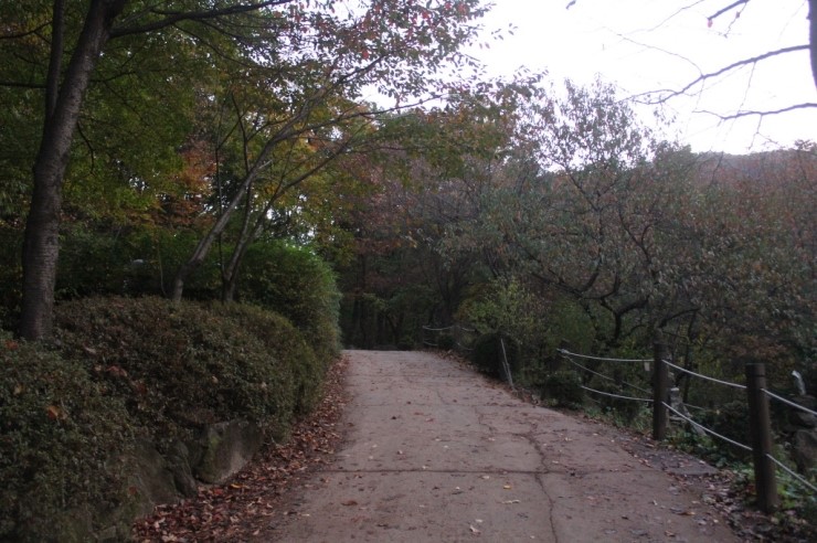 다녀온 남한산성 둘레길 트레킹 가을 남한산성 등산코스 다녀온 남한산성 둘레길 트레킹 가을 남한산성 등산코스