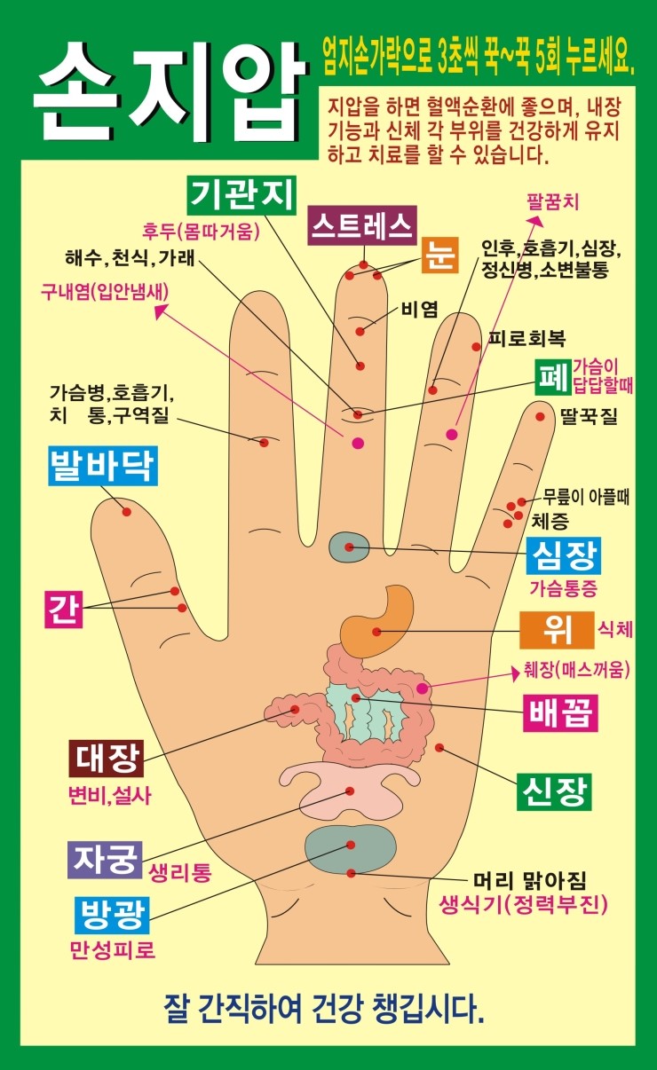 지압표 지압 효과 손지압 발지압 피부마사지 얼굴지압 얼굴마사지