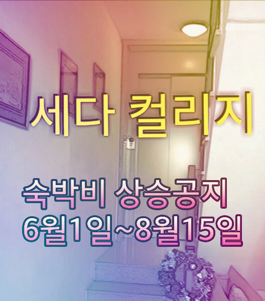아일랜드 어학연수 더블린 세다컬리지 어학원 성수기 추가 비용 안내 ㅇTm 유학원 : 네이버 블로그