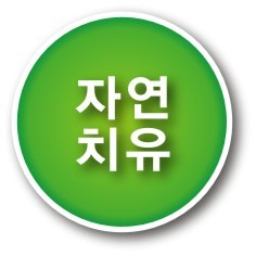 효소만드는법 곡물 효소의효능 발효 효소다이어트 산야초 효소 종류