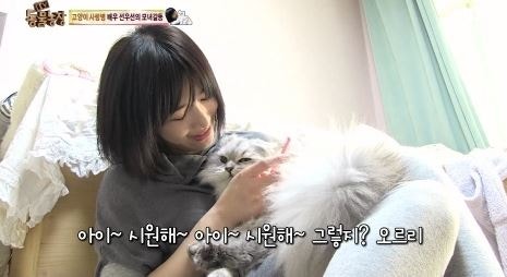 선우선첫반려묘 건강 피부 병에