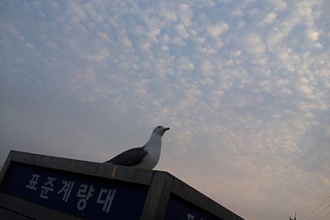 대화직업소개소 이미지