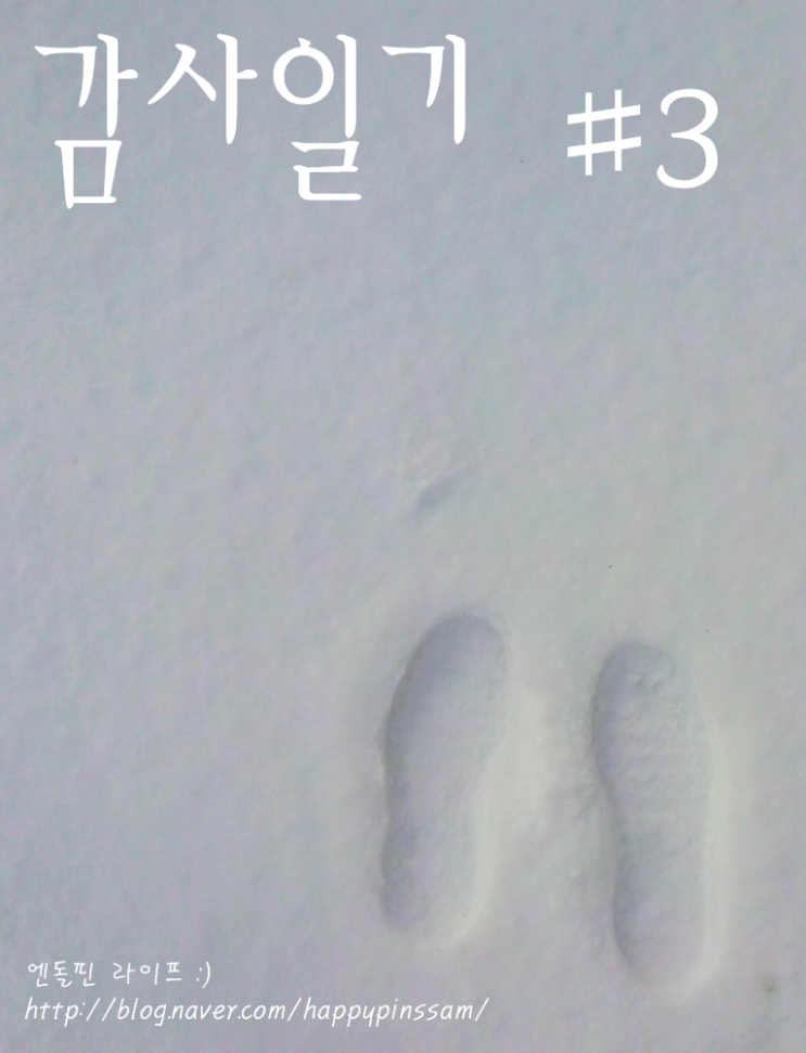  가영의 감사이야기 #2. 눈내리는 강원도 by 엔돌핀 