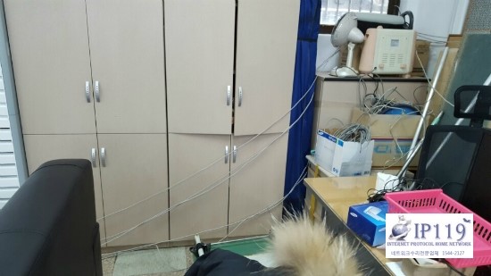  김포랜선공사/랜공사/랜선설치/ip119