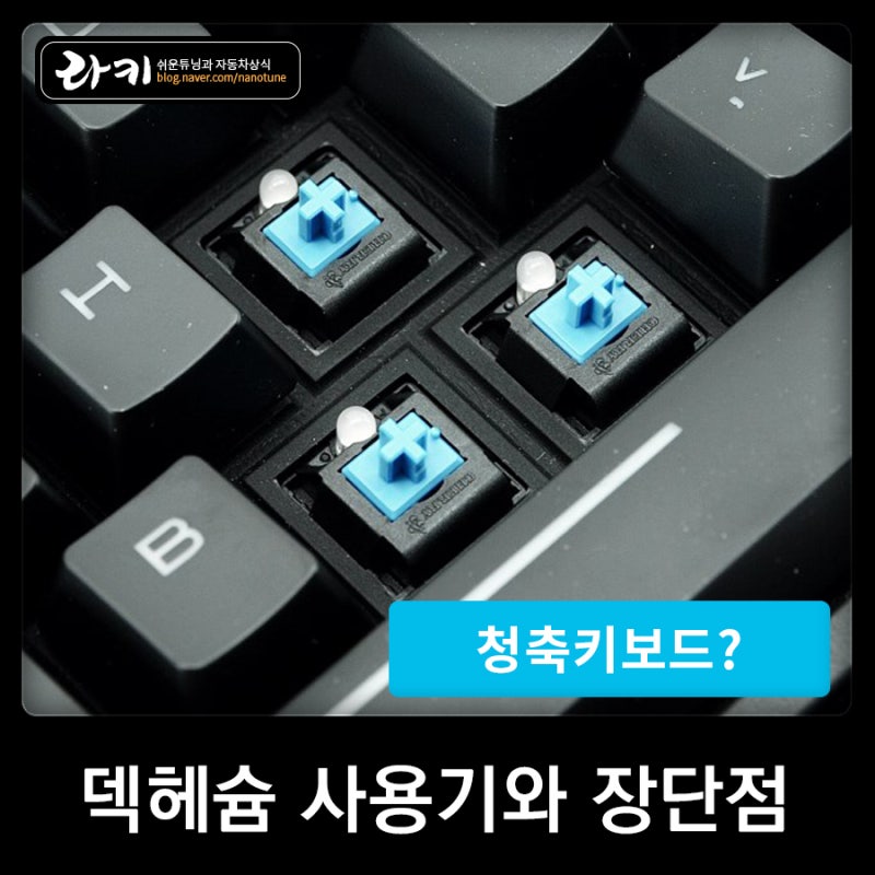 청축키보드, 덱헤슘의 후기와 적축 갈축 차이 : 네이버 블로그 청축키보드, 덱헤슘의 후기와 적축 갈축 차이 : 네이버 블로그