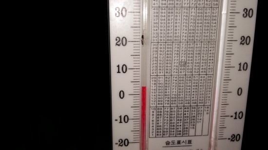 마카재배-새벽을 깨우는 농부의 발자국 소리(3월 둘째 주) 마카재배-새벽을 깨우는 농부의 발자국 소리(3월 둘째 주)
