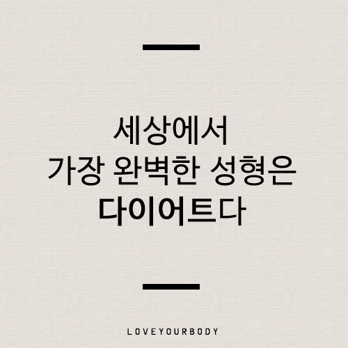 다이어트 자극 문구 : 네이버 블로그