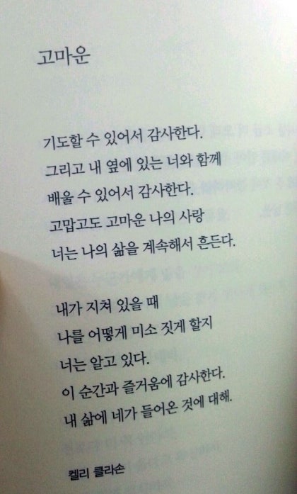 켈리 내 사랑