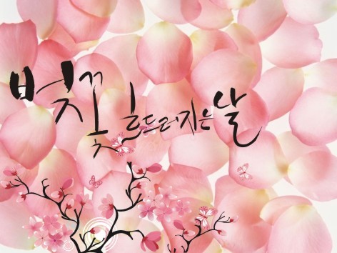 군항의 도시 벚꽃향에 물들다. 2016 제 54회 진해 군항제 축제 군항의 도시 벚꽃향에 물들다. 2016 제 54회 진해 군항제 축제
