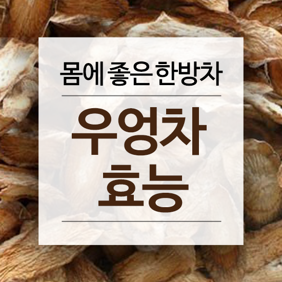 몸에좋은 한방차,건강차[우엉차효능,우엉효능] : 네이버 블로그
