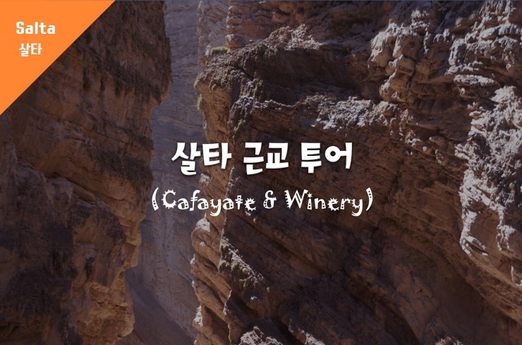  [살타 근교] 정말 멋있었지만 정말 졸렸던 카파야테 투어