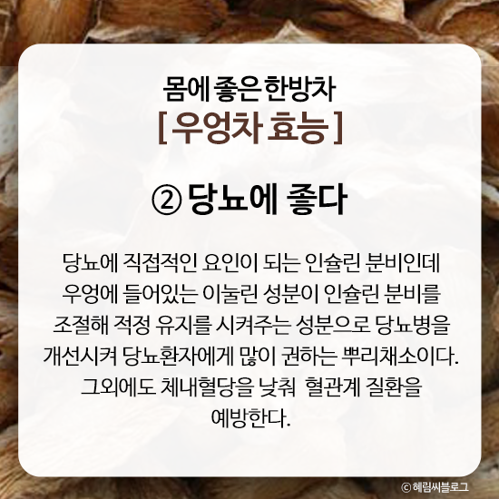 몸에좋은 한방차,건강차[우엉차효능,우엉효능] : 네이버 블로그