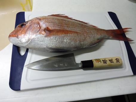  오늘은 초밥의 날 도미한마리로 생선초밥합시다