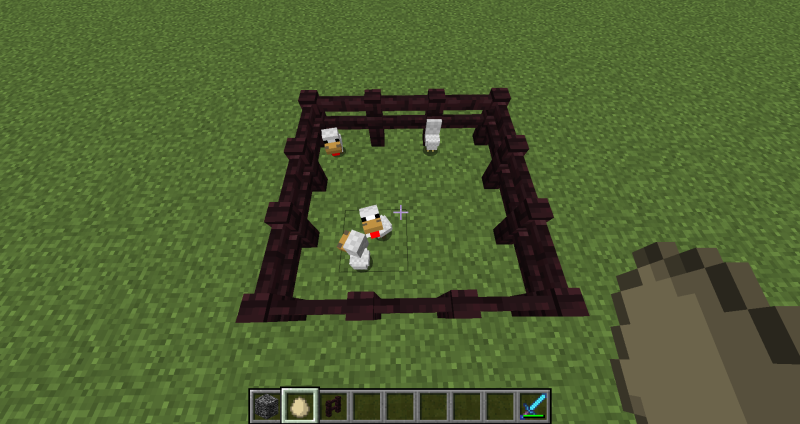 마인크래프트 닭 머리