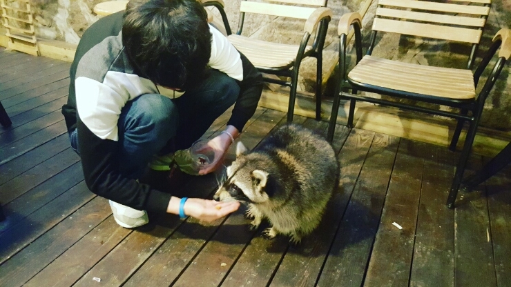  숙대입구 데이트 이색카페 너구리와함께 블라인드앨리로 떠나요