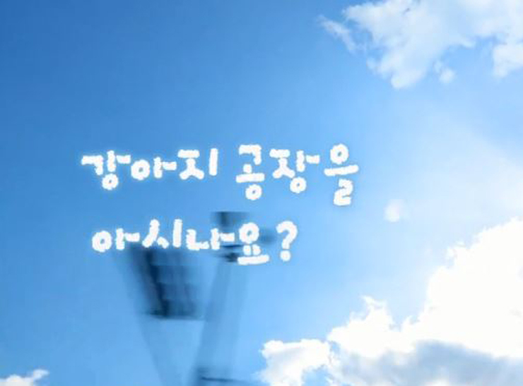 퍼피밀 강아지공장을 아시나요?