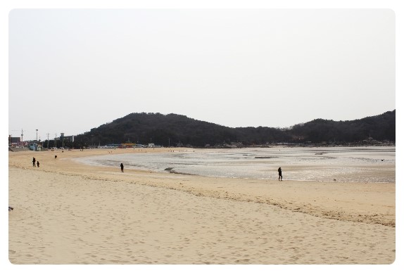 을왕리 조개구이 먹으러 나왔어요  마지막 <b>꽃샘추위 기승</b> 중